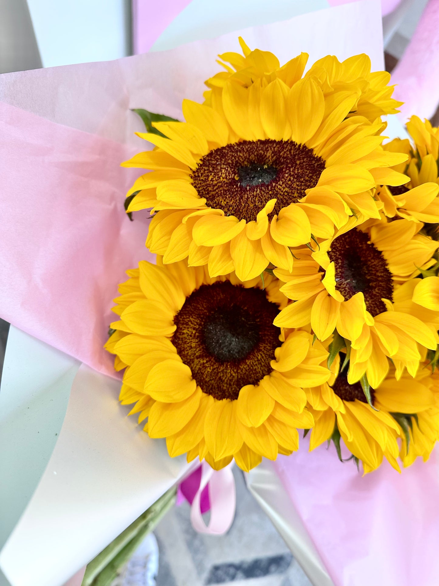 Girasoles Yelito